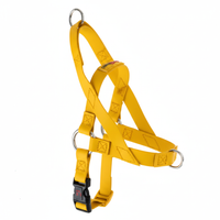No-Pull Dog Harness thumbnail 7